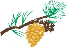 Carmel Pine Cone Awards